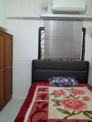 Macpherson Road (D13), Terrace #445613581